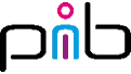 pib.rocks logo