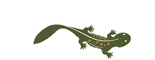 Hellbender logo