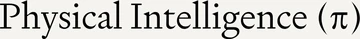 Physical Intelligence logo