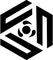 CHASING logo