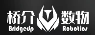 BridgeDP Robotics logo