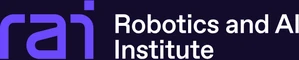 RAI Institute logo