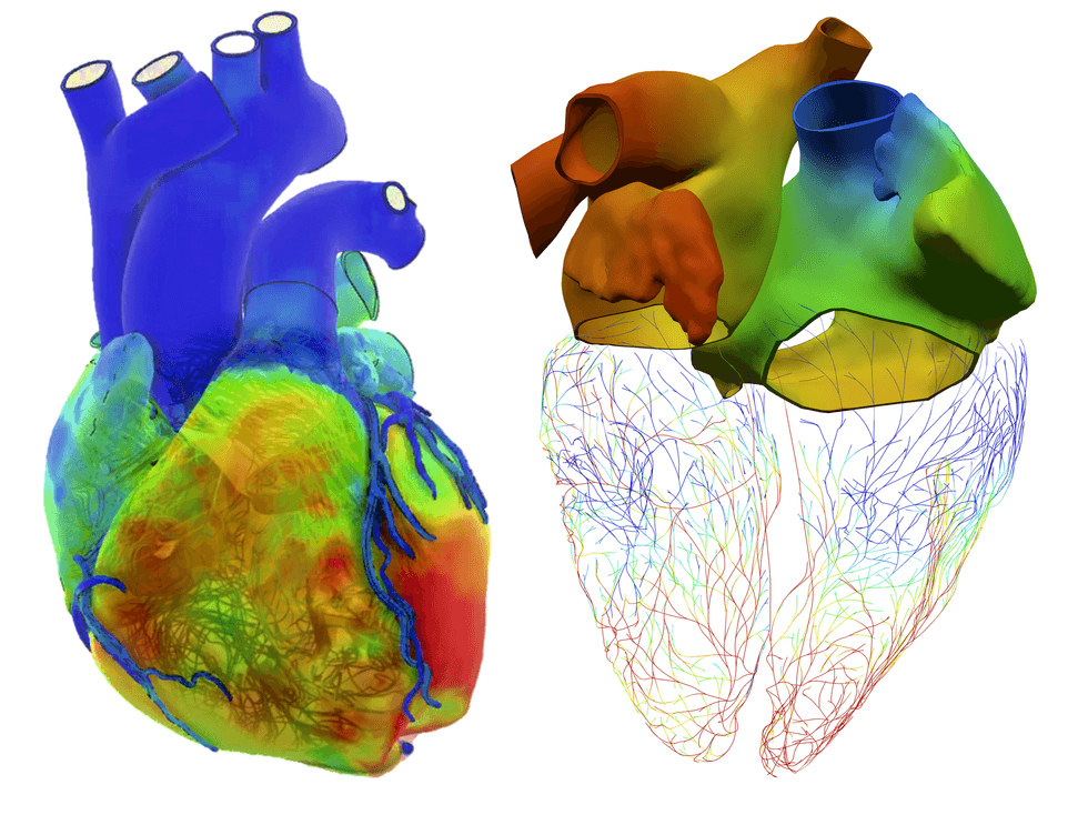 How Your Virtual Twin Could One Day Save Your Life