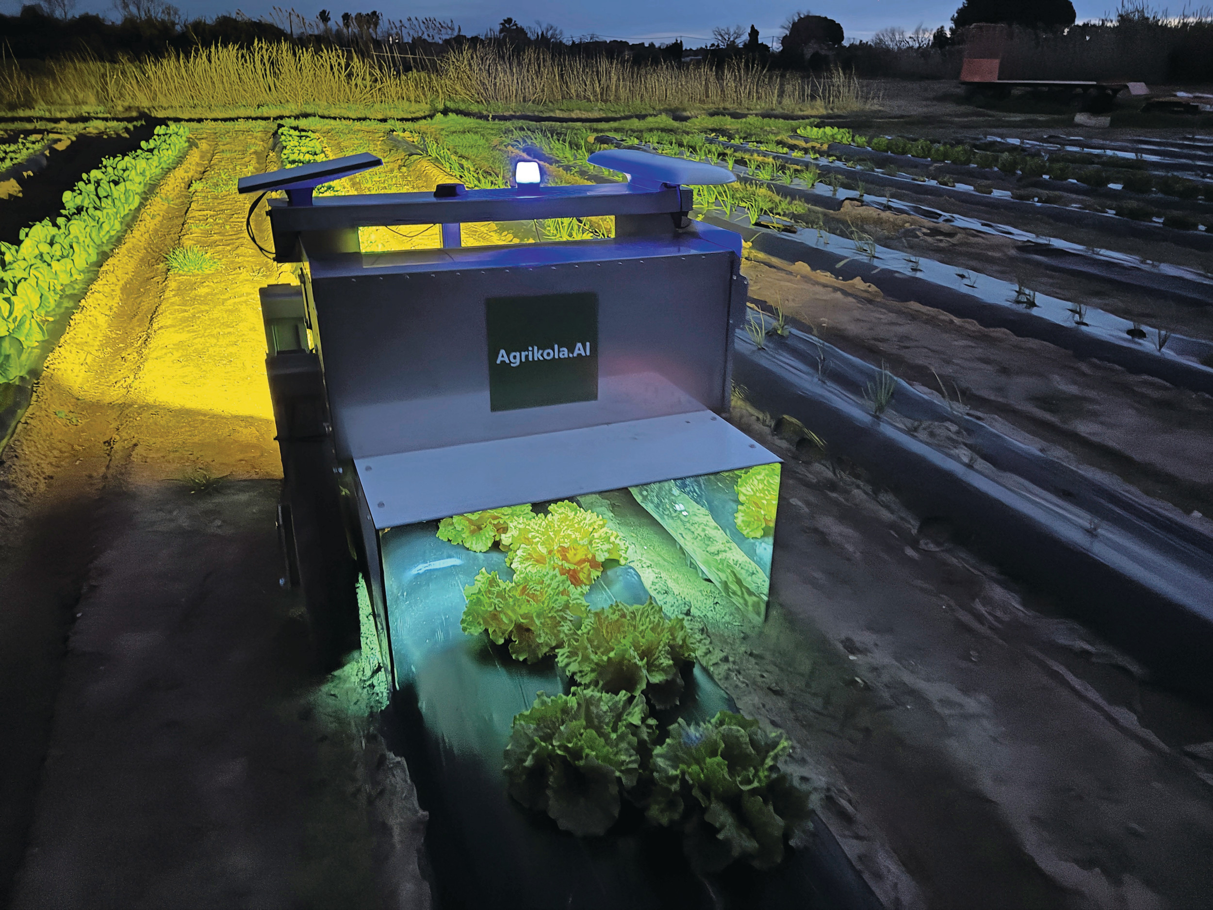 UVC robots show promise in the fight against fungi
