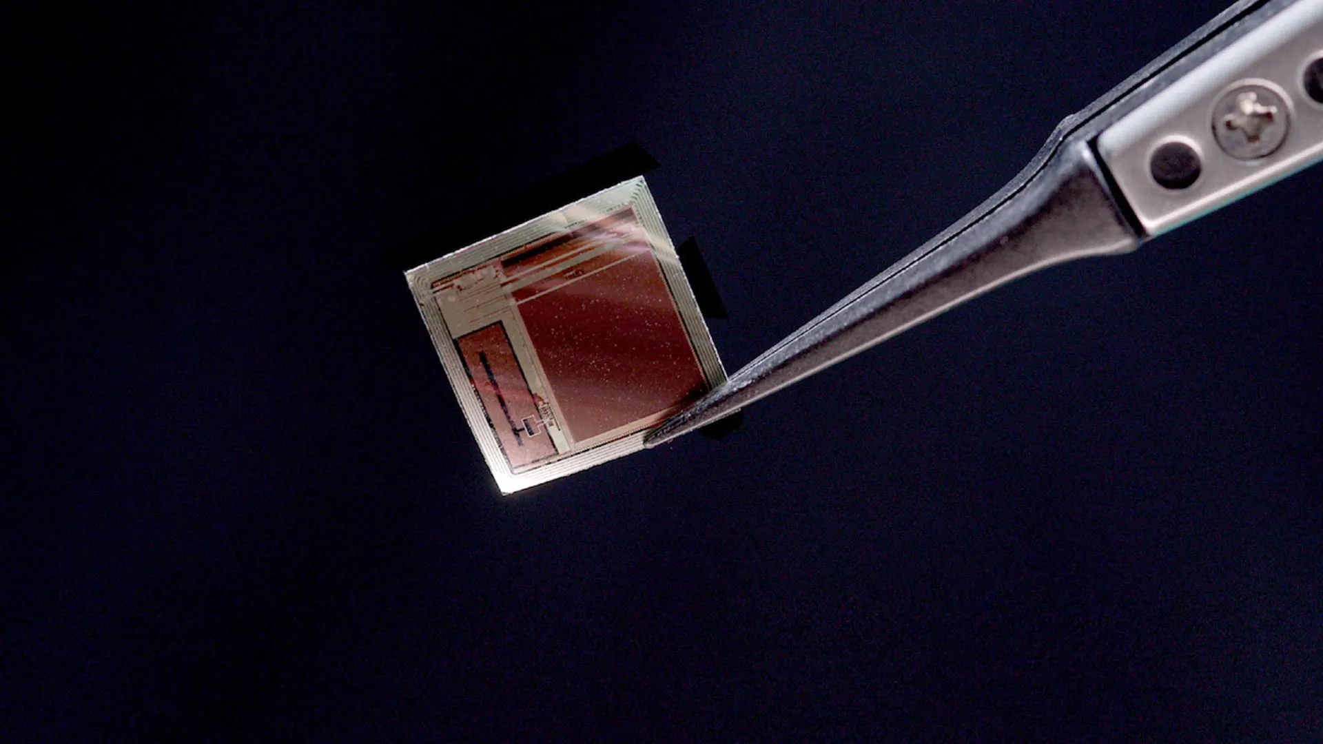 Scientists reveal a tiny brain chip that streams thoughts in real time