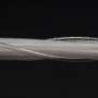 Electrofluidic fiber muscles could enable silent robotic systems