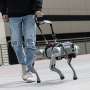 These AI-powered guide dogs don't just lead, they talk