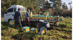 Jeju to rent wearable robots to farmers