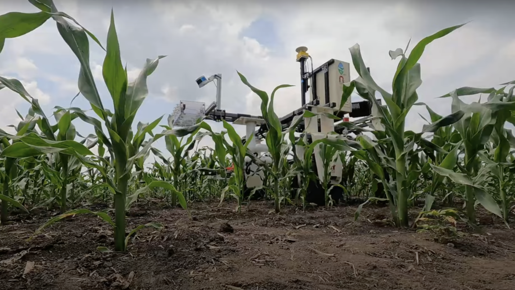 Smart Sensing: CMU Researchers Develop Robotic Platform to Boost Corn Crop Health