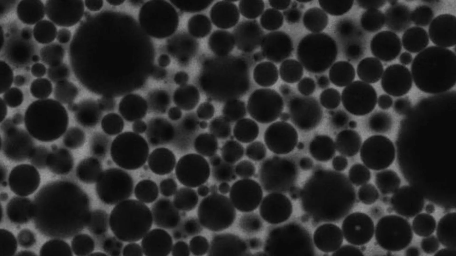 How everyday foam reveals the secret logic of artificial intelligence