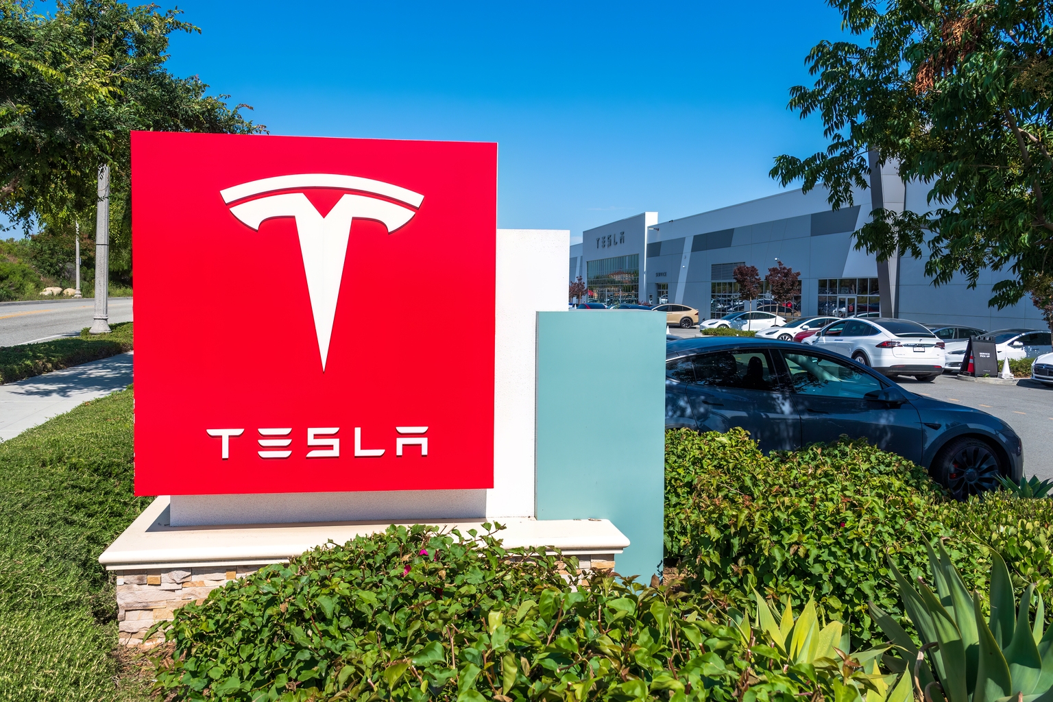 Tesla: Disastrous Robotaxi Checkup