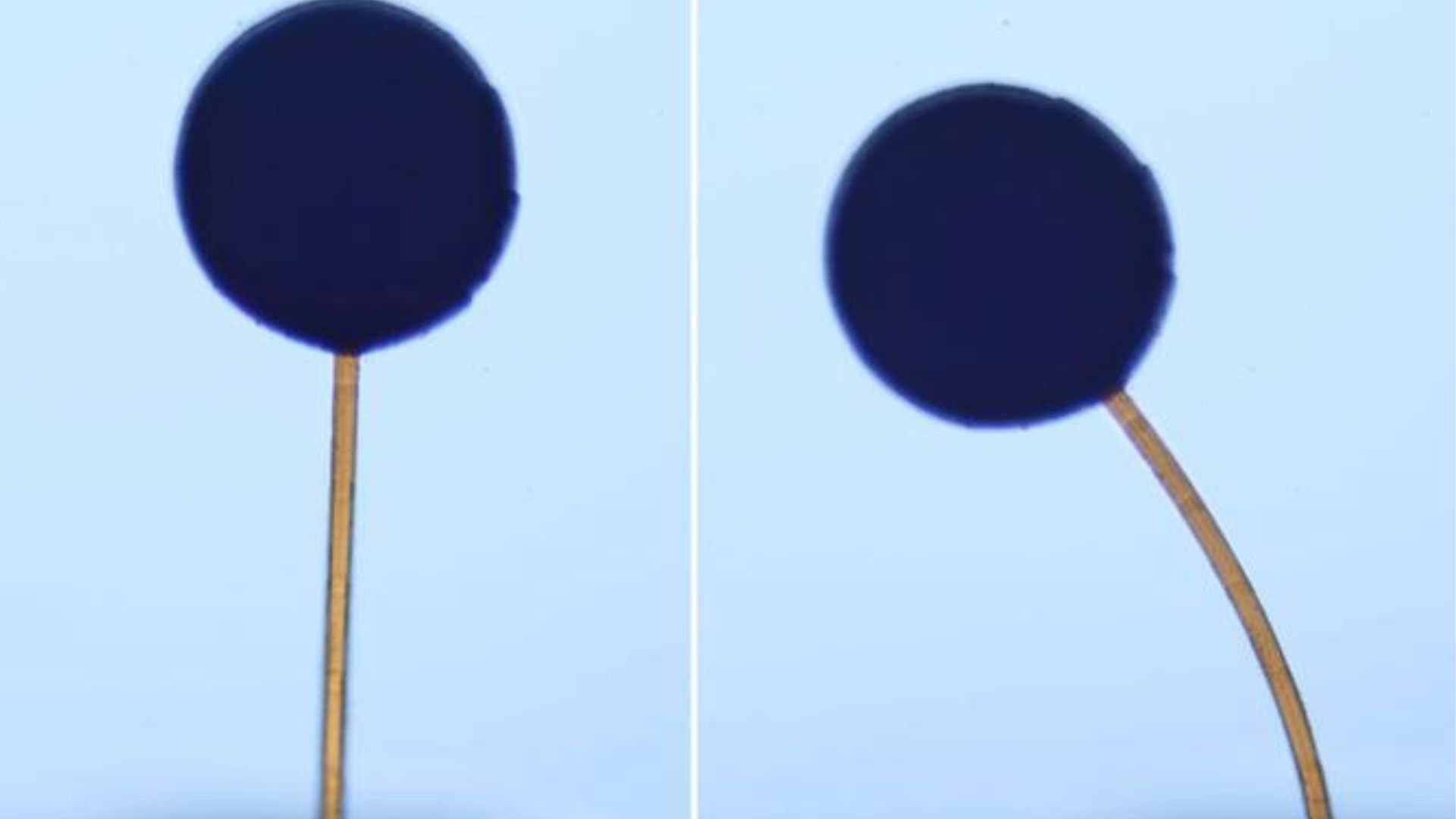 MIT engineers develop 3D-printed micro-robots that can be controlled by magnets