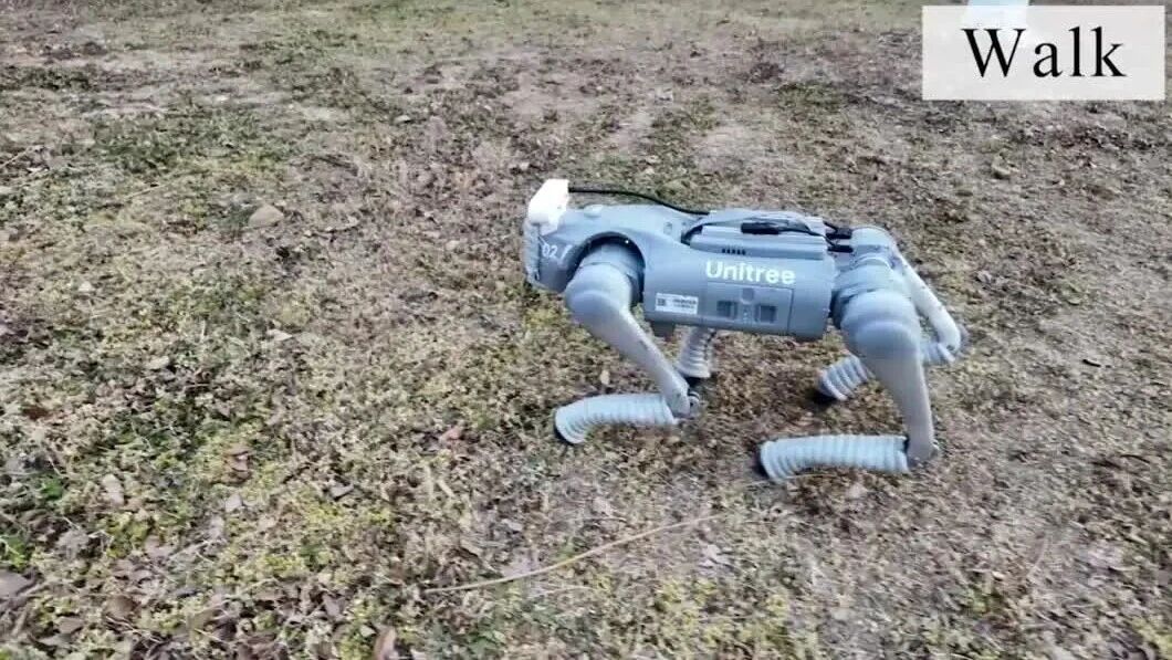 Autonomous Robot Dog Learns Agility Through Observation and Imitation