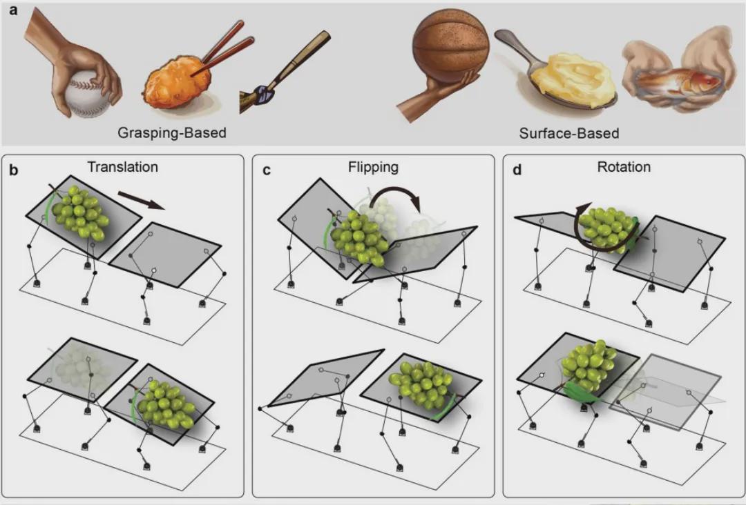 Replacing Grasping with Support: EPFL Team Proposes a New Paradigm for Robot Manipulation