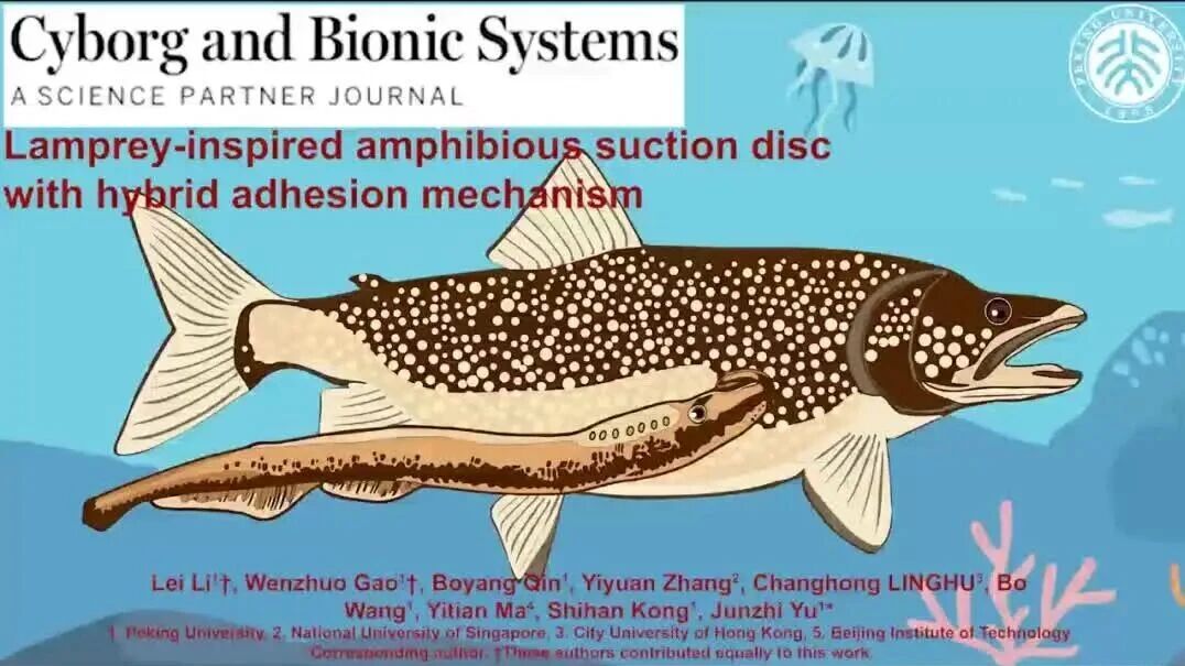 Peking University Team Develops Amphibious 'Super Suction Cup' Inspired by Lamprey