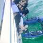 A tiny underwater antenna is changing how robots talk in dark, murky seas