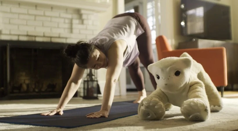iRobot Co-Founder Colin Angle’s New Startup, Familiar Machines & Magic, Emerges From Stealth to Make Consumer Social Interaction Robots