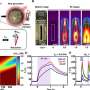 Dual-mode magnetic elastomer moves on command, vanishes on demand