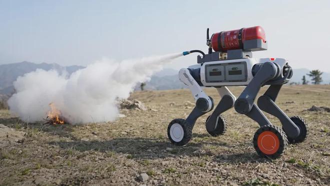 Launch of the Lynx M20S: Wheeled-Leg Robot Enters Performance Competition, Cloud Depth Technology is Redefining Industry Standards!