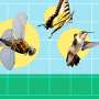 New understanding of insect flight points way to stable flapping-wing robots
