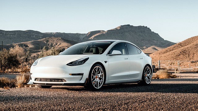 Is Tesla (TSLA) the Best Quality Stock to Buy and Hold for the Next 5 Years?