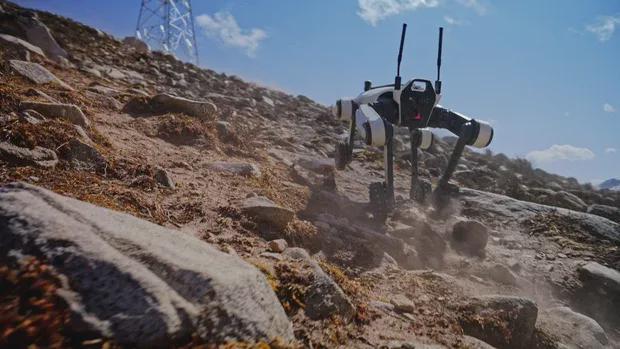 DJI-Backed Robotics Company 'Xuanji Power' Secures Hundreds of Millions in Financing, Attracting Industry Funds for 'Heavy-Duty Robot Dogs'