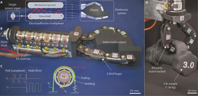 Breakthrough in Robotic Hands: One Motor Drives Six Joints, Capable of Gentle Foam Handling and Lifting 3 Pounds