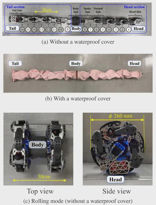 Japanese Team Develops Snake Robot with New Rolling Motion, Achieving 10x Energy Efficiency