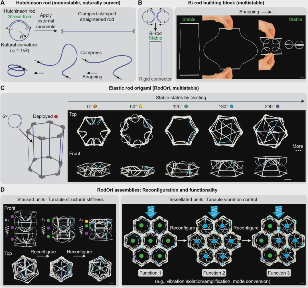 20 Million Transformations! Stanford Team Develops Thinking Robot Skeleton with Elastic Rods