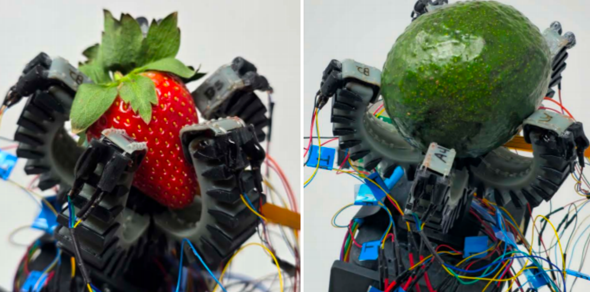 Cornell University Team Develops a Touch-Sensitive Strawberry-Picking Robot with 13 Sensors, Featured in Nature Communications