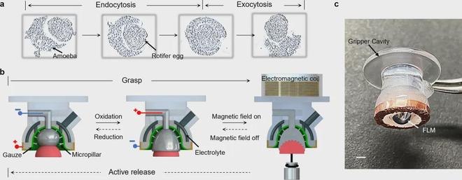 New Record in Robotic Micro-Manipulation: 42G Ejection and Precision Control Across 14 Orders of Magnitude