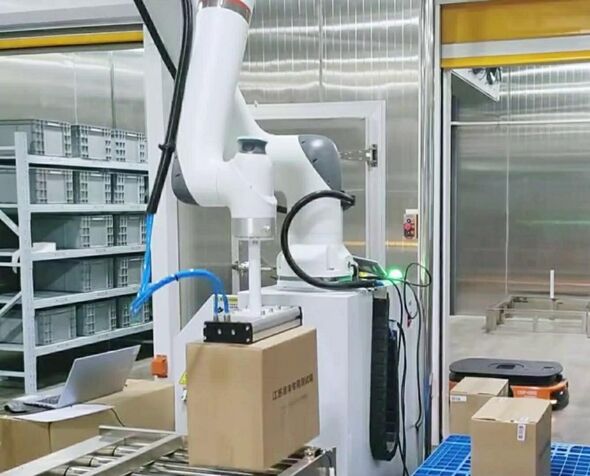 ROKAE Smart Palletizing Cobots Drive Intelligent Manufacturing in Vaccine Production