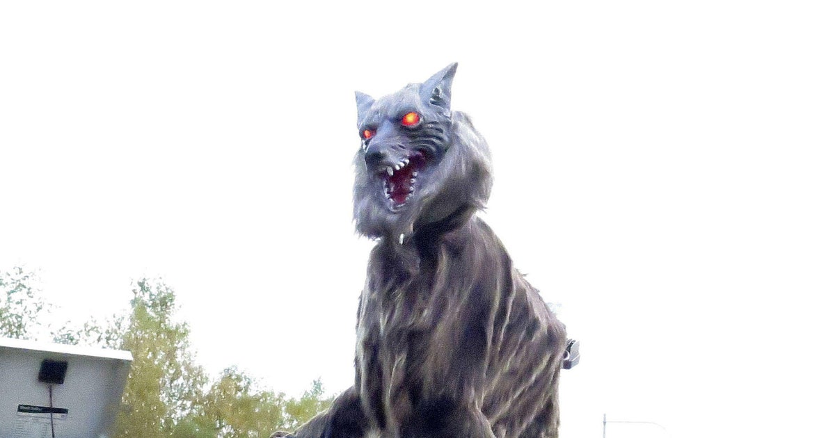 Menacing "monster wolf" robots in high demand to scare off bears