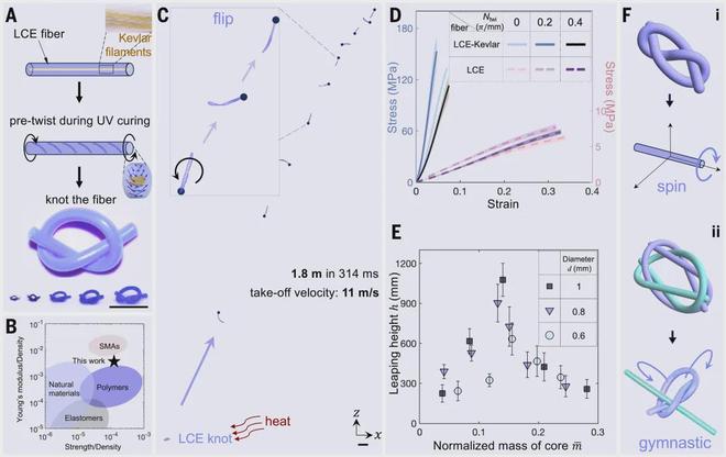 Breakthrough in Miniature Robotics: A Knot-Triggering Rope Enhances Jumping Limits Using Topology