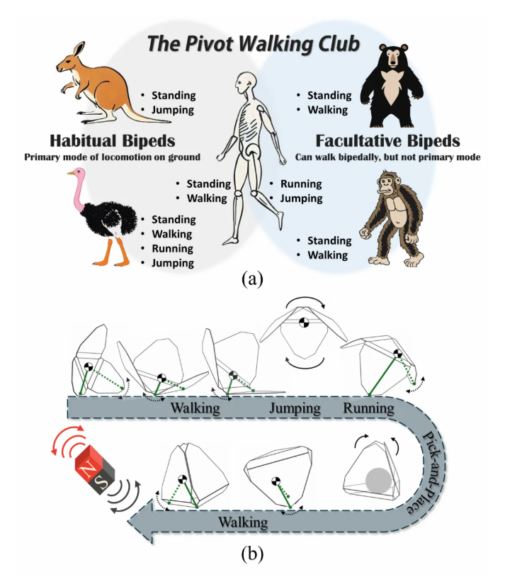 Micro Grippers with Parkour Abilities? BIT Team Proposes New Mechanism for Magnetic-Driven Microrobots Integrating Morphology and Function!