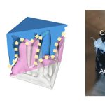 New 3D-printed battery electrodes double storage capacity across 7,500 charge cycles