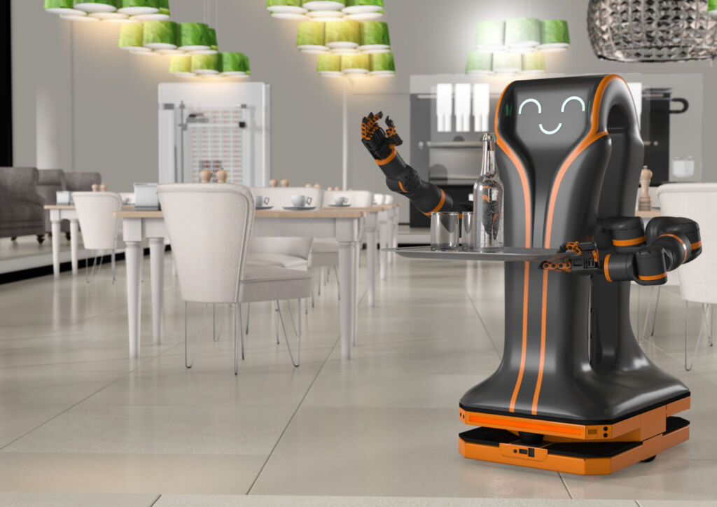 Humanoid service robots for household use