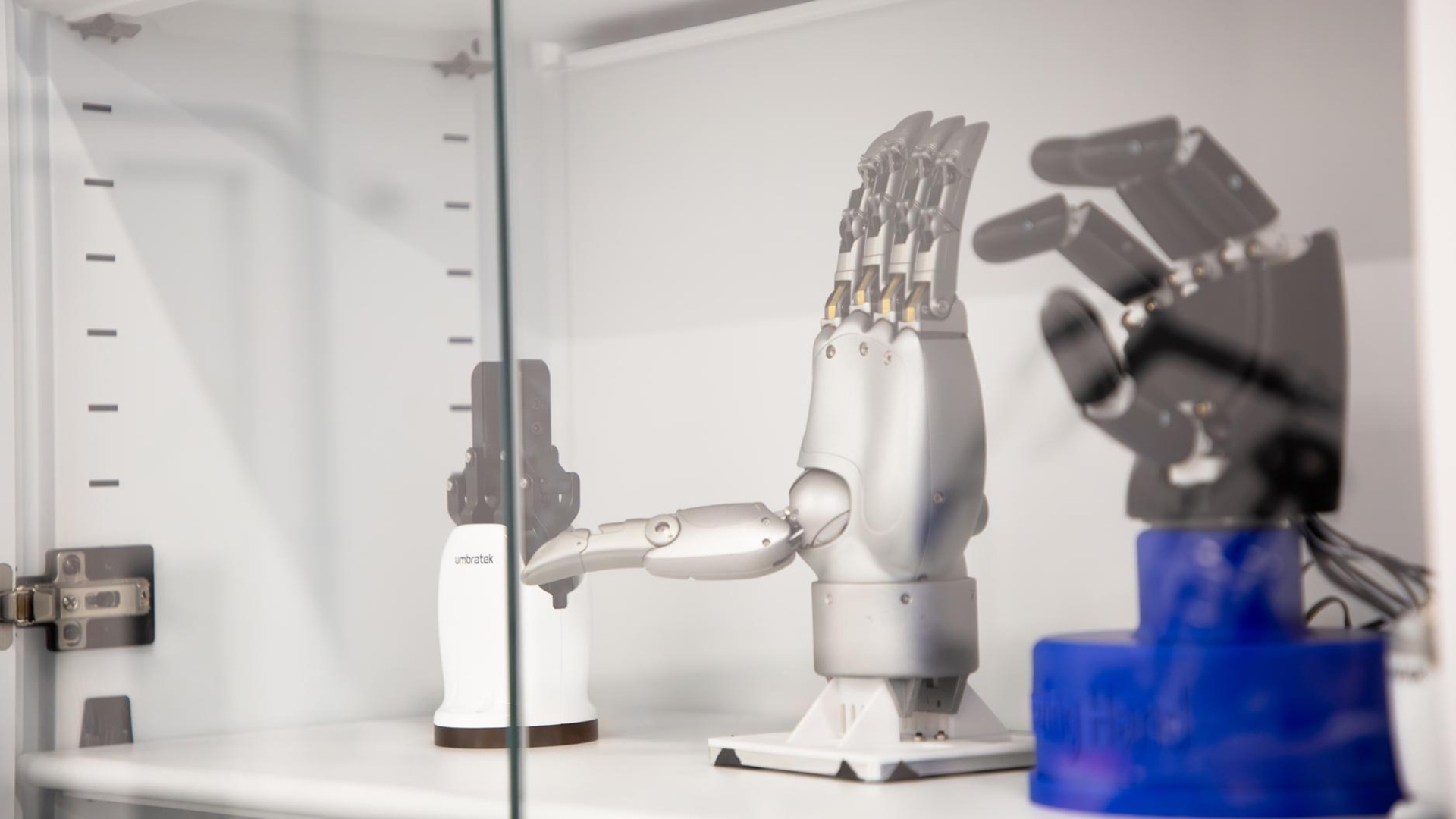 Scientists show predictable training can outperform complex robot learning data