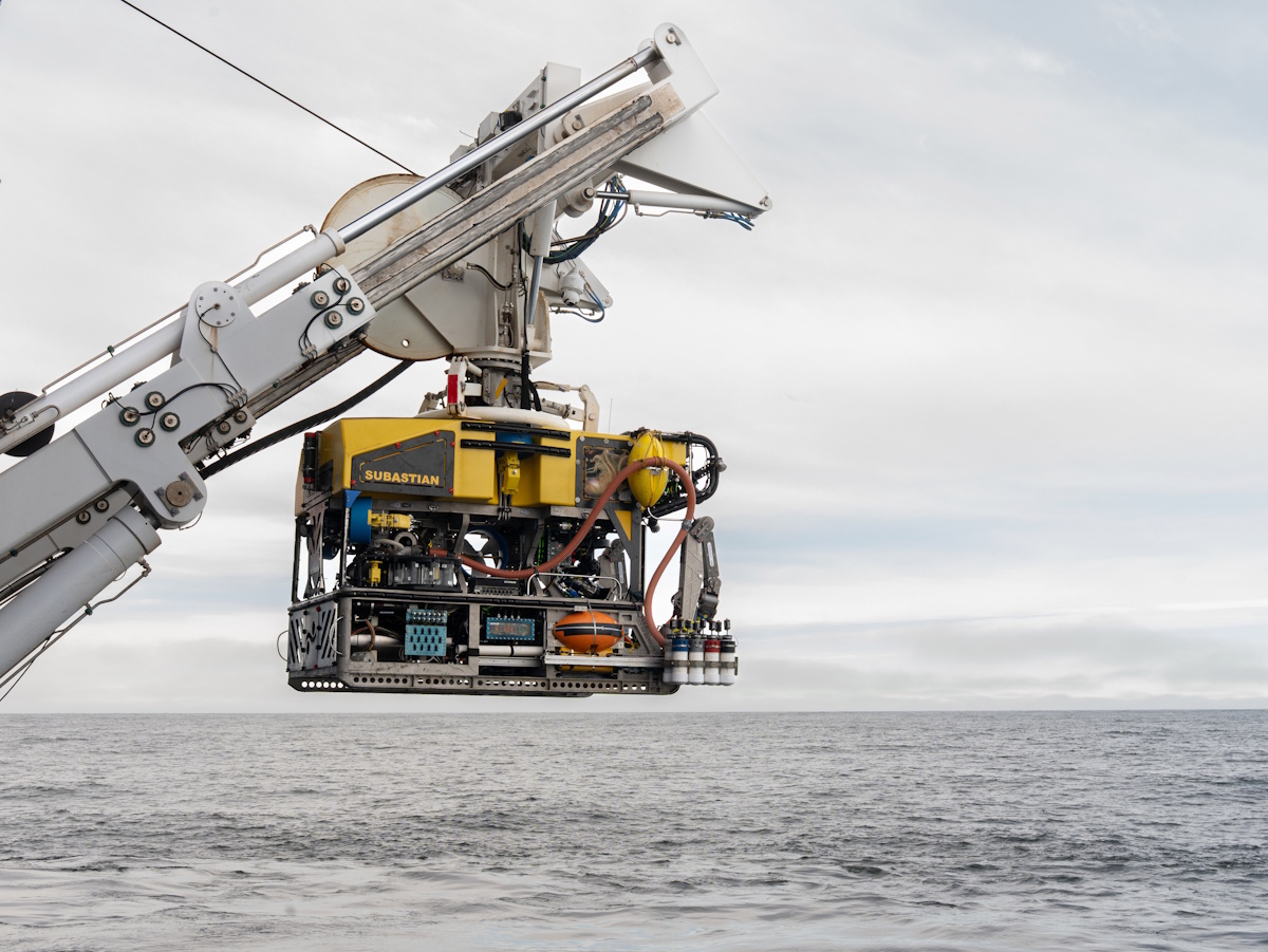 Pioneering Study Unites Physics, Geology and Biology in Argentina’s Submarine Canyons