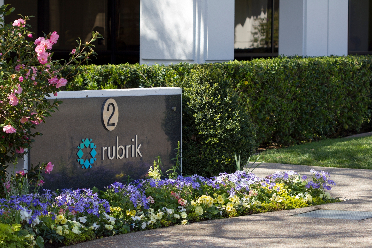 Rubrik: The Post-Earnings Dip Is A Gift