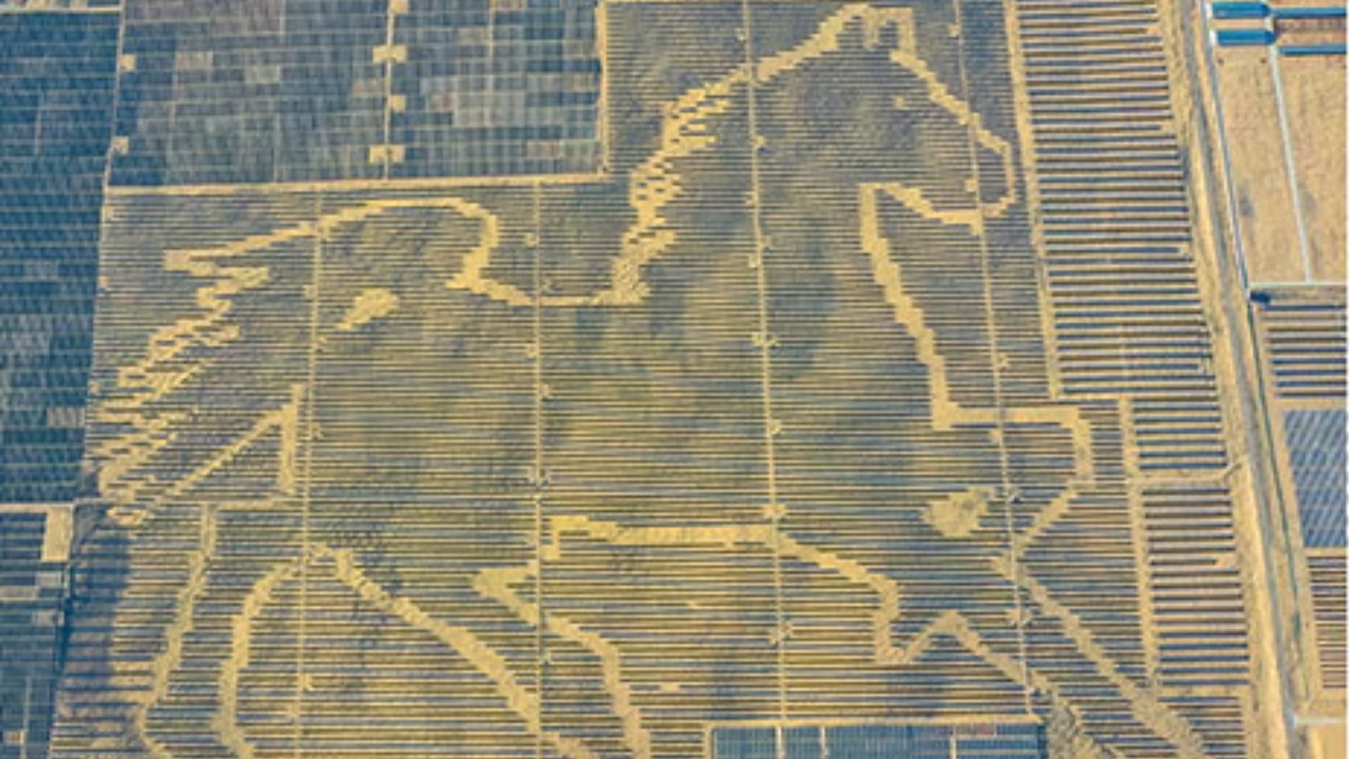 China’s Guinness Record-holding solar horse stretches 250 miles across desert sands