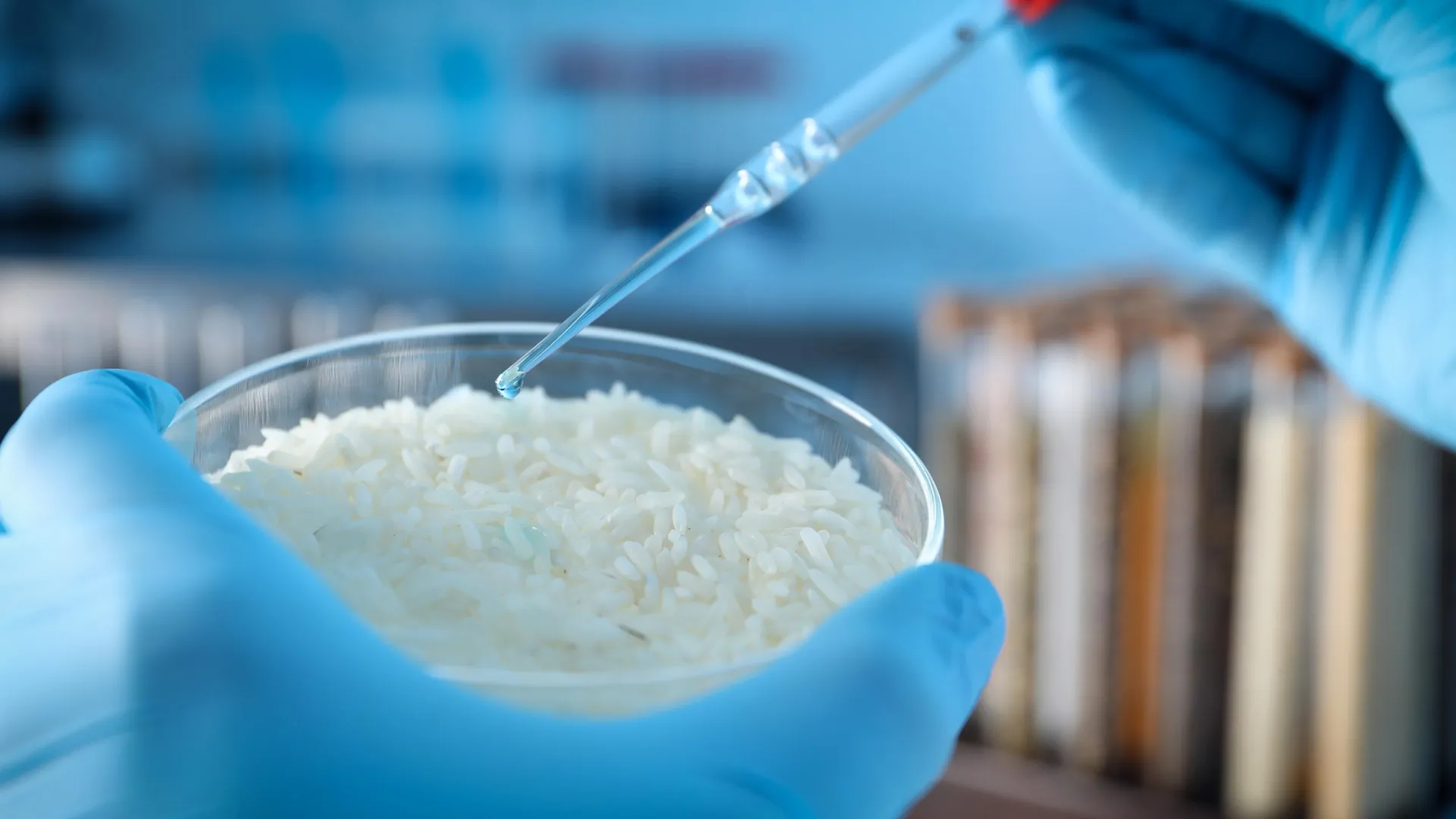 Scientists discover a strange property in rice and turn it into a smart material
