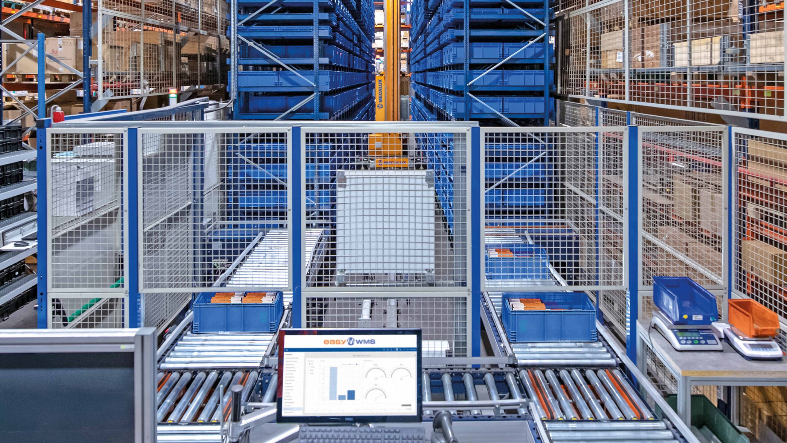 Automation Drives Cold Store Efficiency