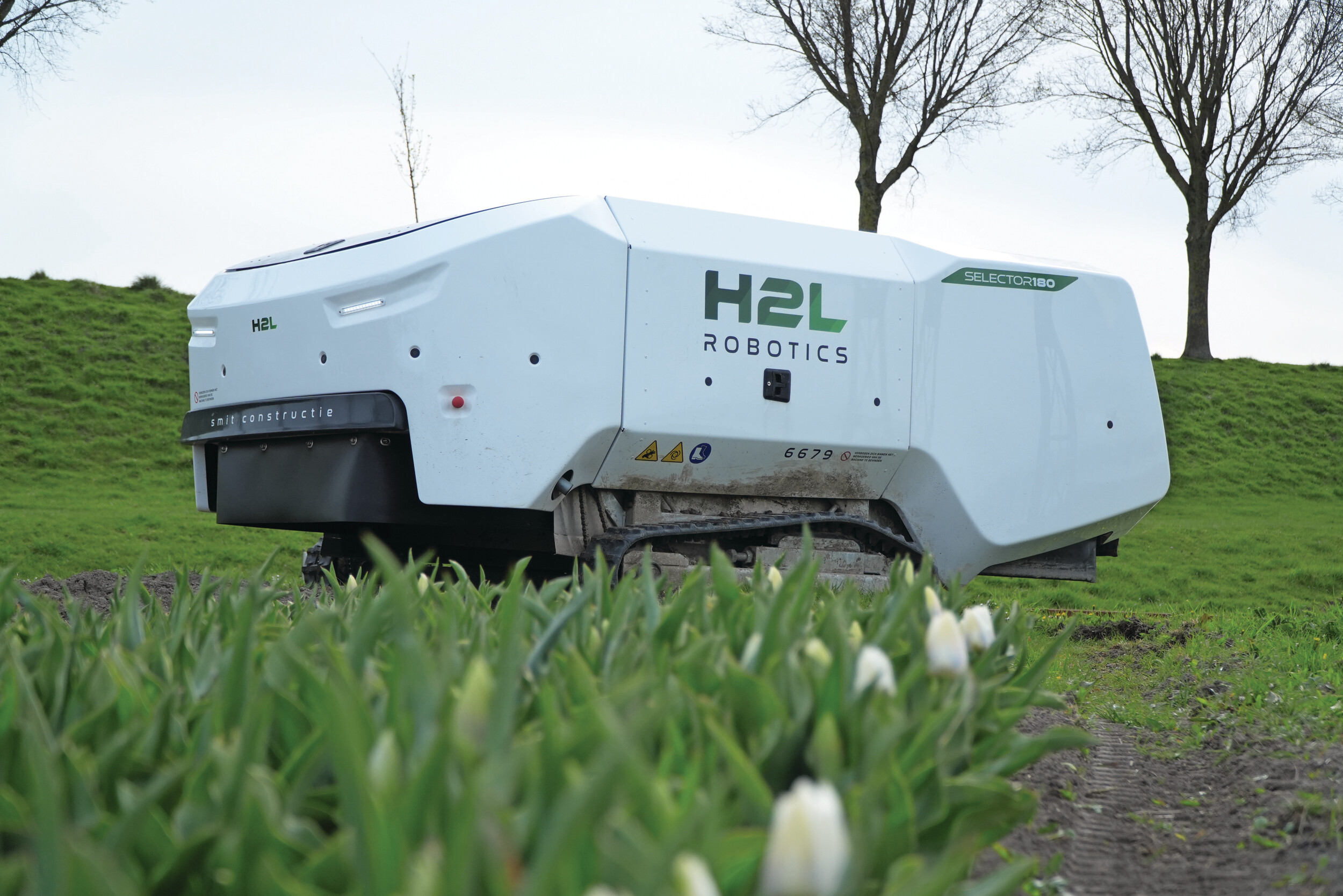 From novelty to necessity: Why tulip growers are betting on robotic disease selection