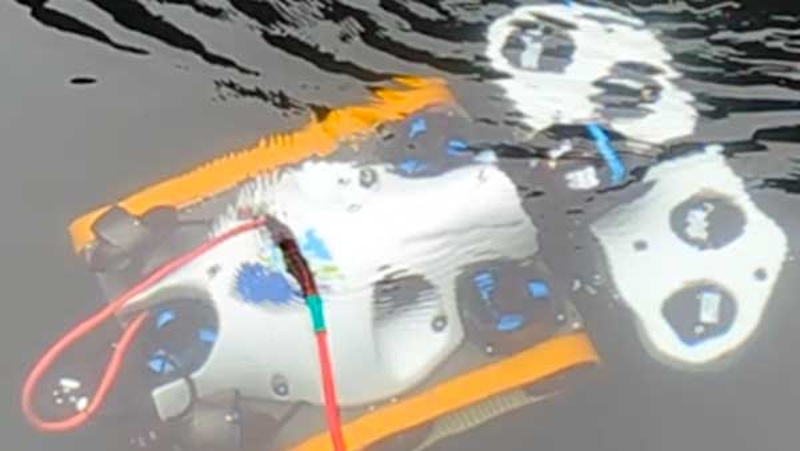 Greensea IQ to Showcase EverClean Inspection Robot at Ocean Business 2025