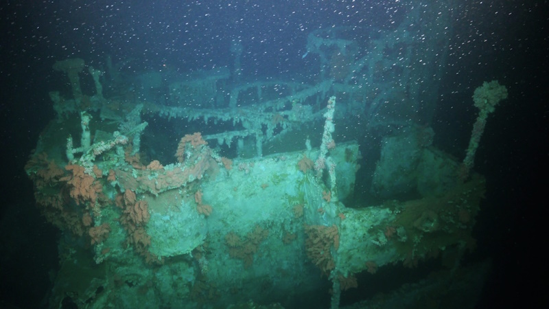 Vibrant Coral Reefs Discovered in Historic Exploration of Uruguay’s Deep Sea