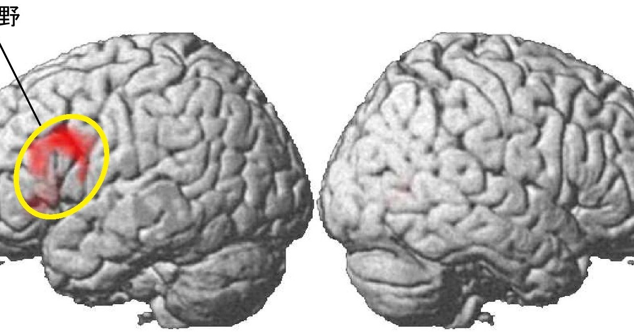 Study shows differences in brain activity after reading print vs. digital manga, confirmed by fMRI at Tokyo University.