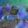 Sonar–camera system sees through murky waters