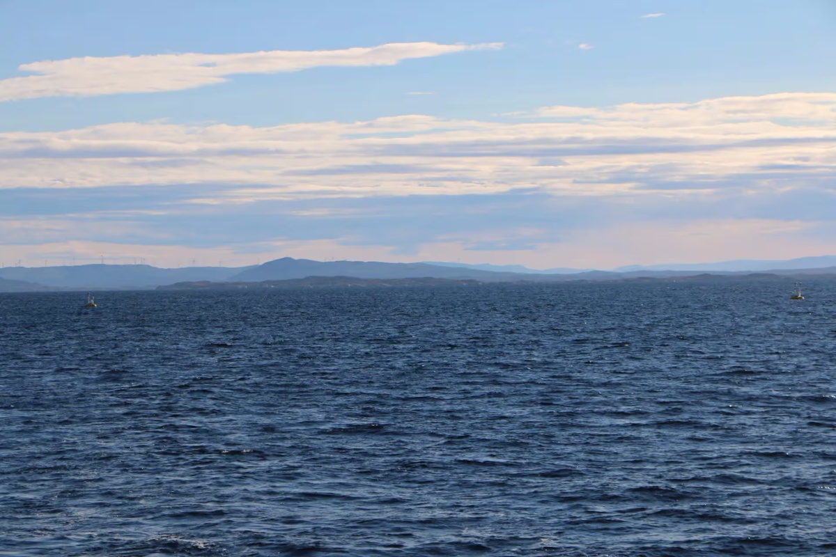 Fugro Trials First Automated eDNA Sampler to Transform Biodiversity Studies
