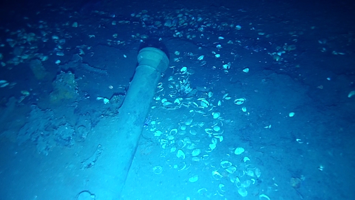 Saab’s Seaeye Lynx surveyed ‘Holy Grail’ San José shipwreck